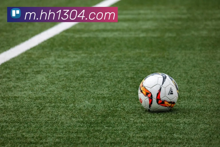 火狐体育官网首页服务体系